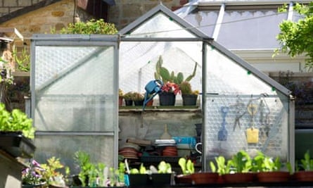 Diy Temporary Greenhouse Mini Greenhouse Bamboo Diy Greenhouse