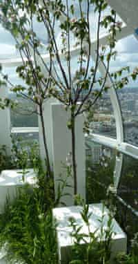 Andy Sturgeon's garden installation on the London Eye