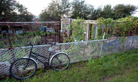 Pure and simple … a bicycle parked beside an allotment.