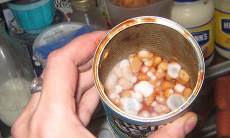 Zoe Williams's mouldy baked beans