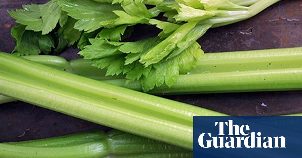 Why Celery Is Good For You Food The Guardian Why Celery Is Good For You Food The Guardian