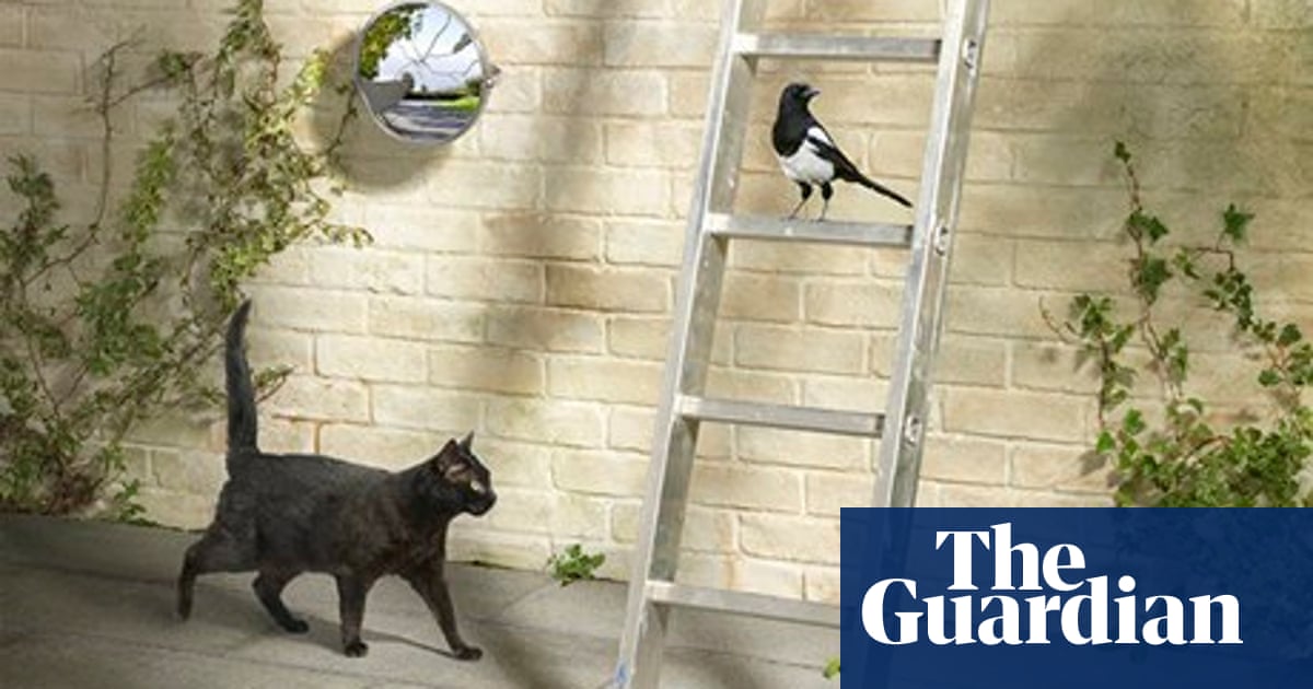 Twelve Superstitions For Friday The 13th Health Wellbeing The Guardian