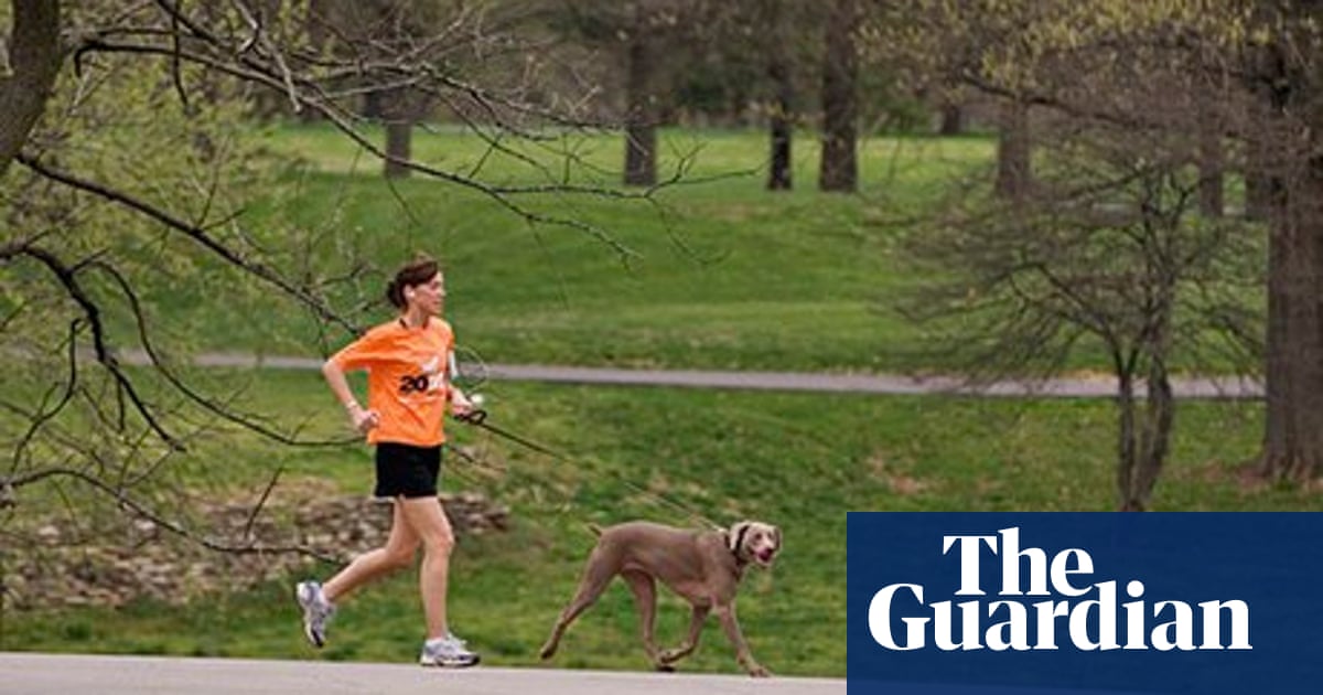 How To Run With Your Dog Dogs The Guardian