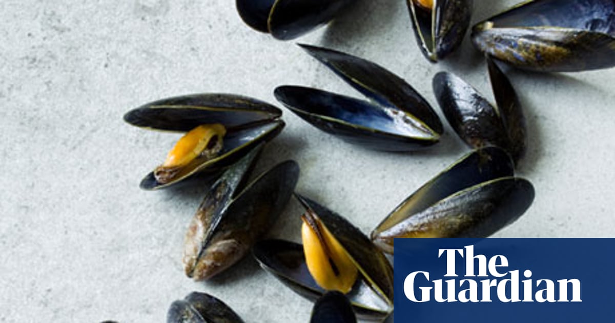 Botanist Boost design Why mussels are good for you | Food | The Guardian