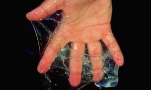 What is hagfish slime?
