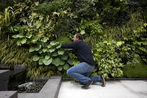 Living wall: Garden designer Daniel Bell with the living wall