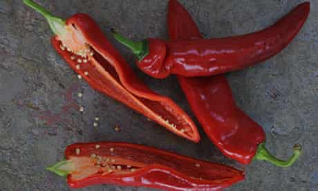 More elongated, thinner-skinned romano/ramiro variety peppers have a shade more taste 