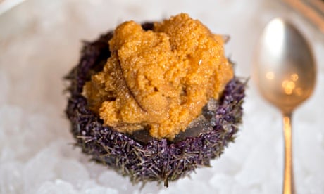 Sea urchin roe
