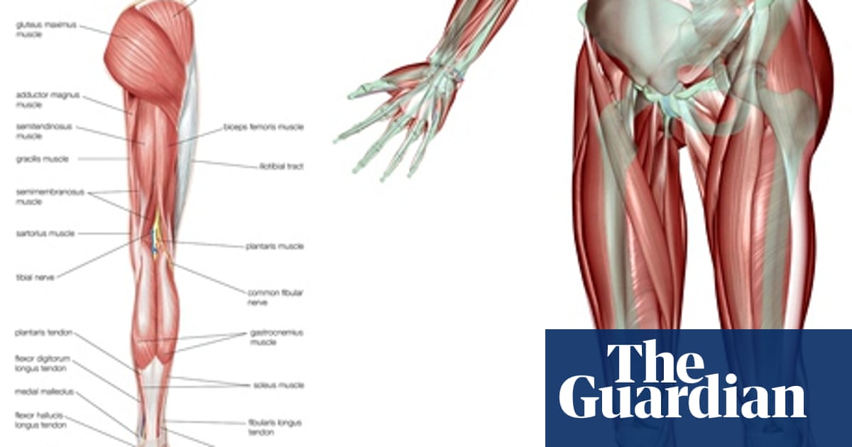 iliotibial band friction syndrome)