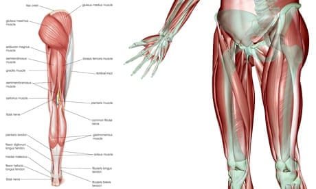 Running into problems: iliotibial band friction syndrome, Running