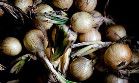 how to grow your own onions