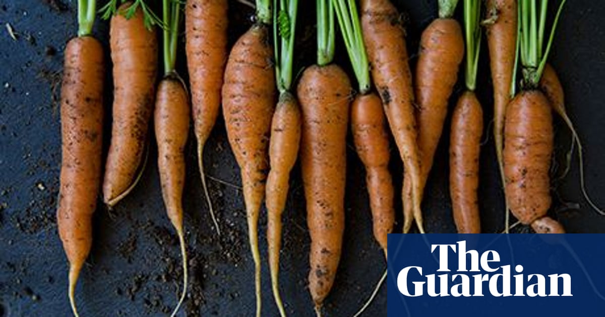 Grow Your Own Carrots Make Your Own Life And Style The Guardian