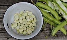 Back to basics: broad beans