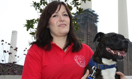 Pickle S Christmas Wish A Home Of Her Own Battersea Dogs Cats Home