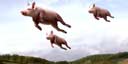 Flying pigs