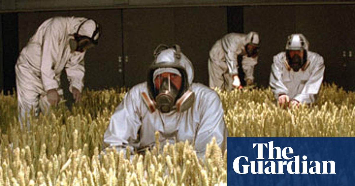 Fields Of Gold Television Industry The Guardian