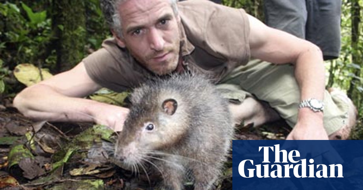 The moment we found a Bosavi woolly rat - an animal totally new to science  | BBC | The Guardian