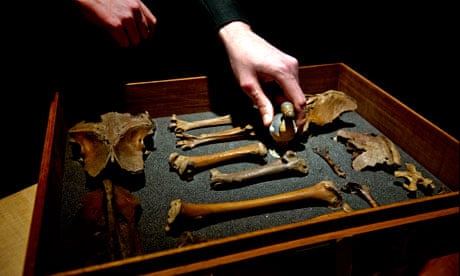 Dodo bones found at Grant Muuseum