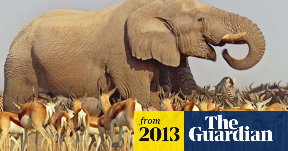 Viewers warm to David Attenborough's latest wildlife epic Africa | TV  ratings | The Guardian