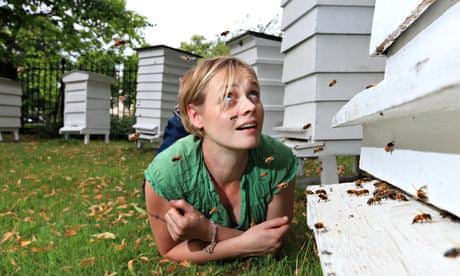 Camilla Goddard beekeeper
