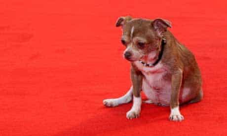 Dial A Cliche Work Careers The Guardian Dial A Cliche Work Careers The Guardian