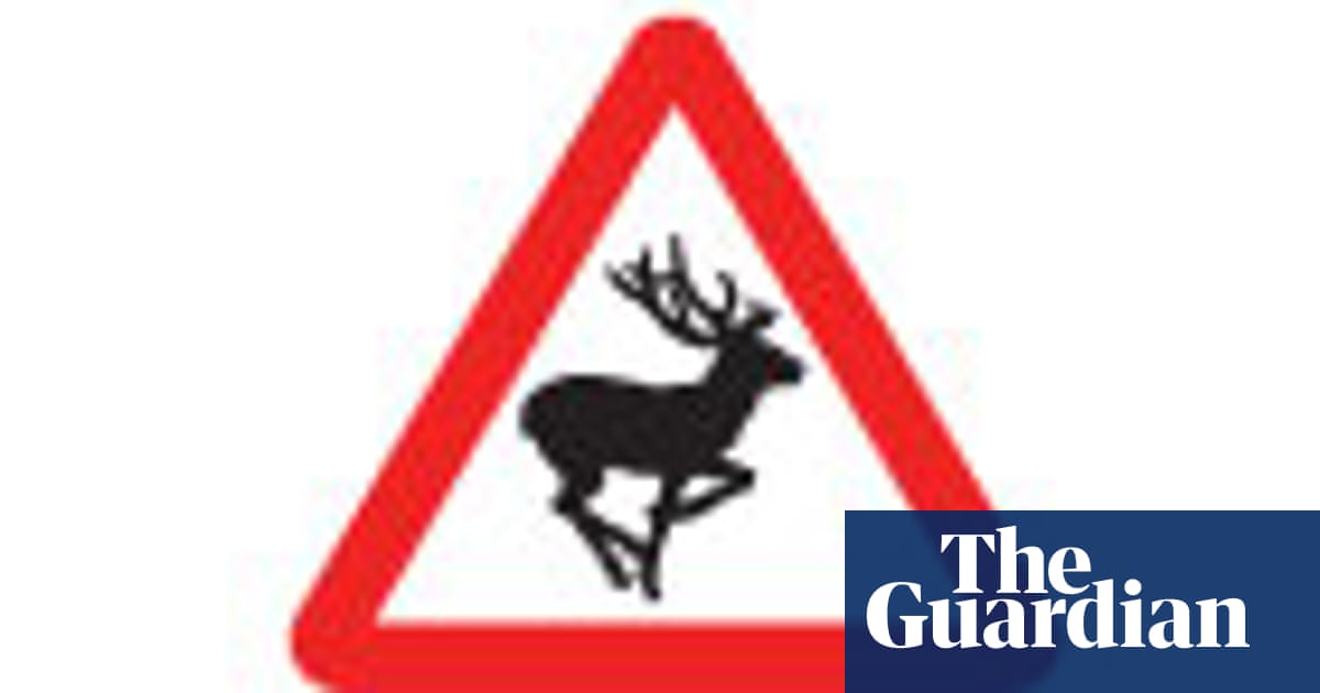 Motoring Quiz Road Signs Consumer Affairs The Guardian Motoring Quiz Road Signs Consumer Affairs The Guardian