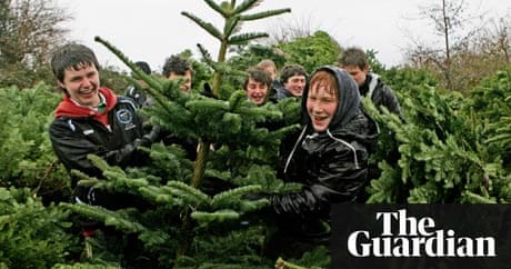 how to buy the right christmas tree money the guardian how to buy the right christmas tree money the guardian