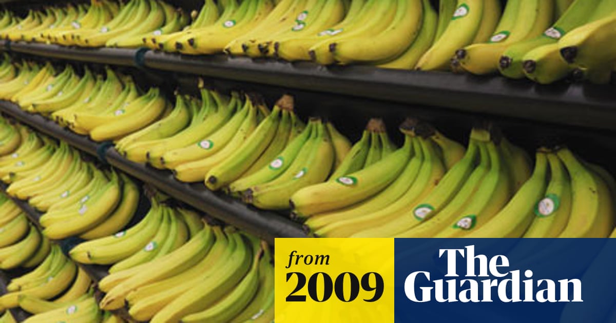Tesco Launches Banana Hammock Consumer Affairs The Guardian