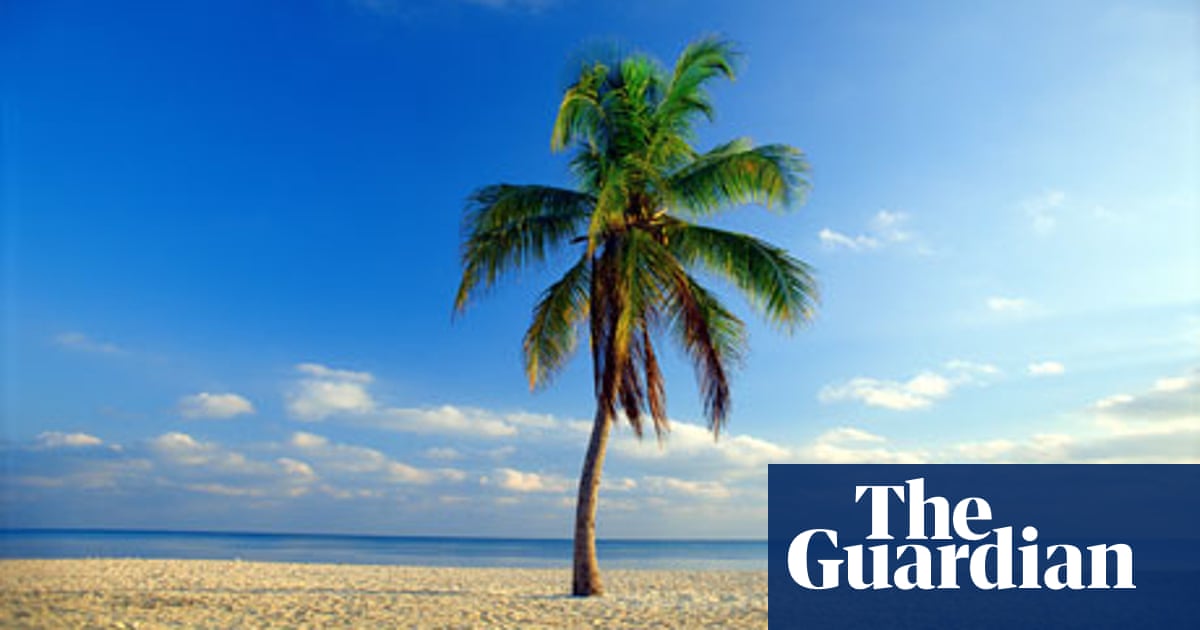 Palm Trees In Antarctica Coconuts Climate Change The Guardian Palm Trees In Antarctica Coconuts Climate Change The Guardian