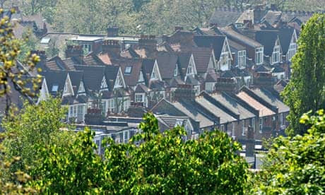 Houses pictured through a frame of trees