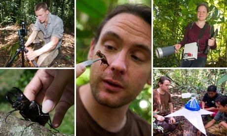 Research scientists in the Borneo rainforest