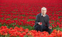 Mark Eves, flower grower, crouches amid a field of red tulips
