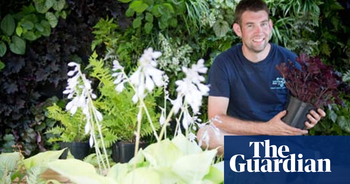 How do I … a gardener Work & careers The Guardian