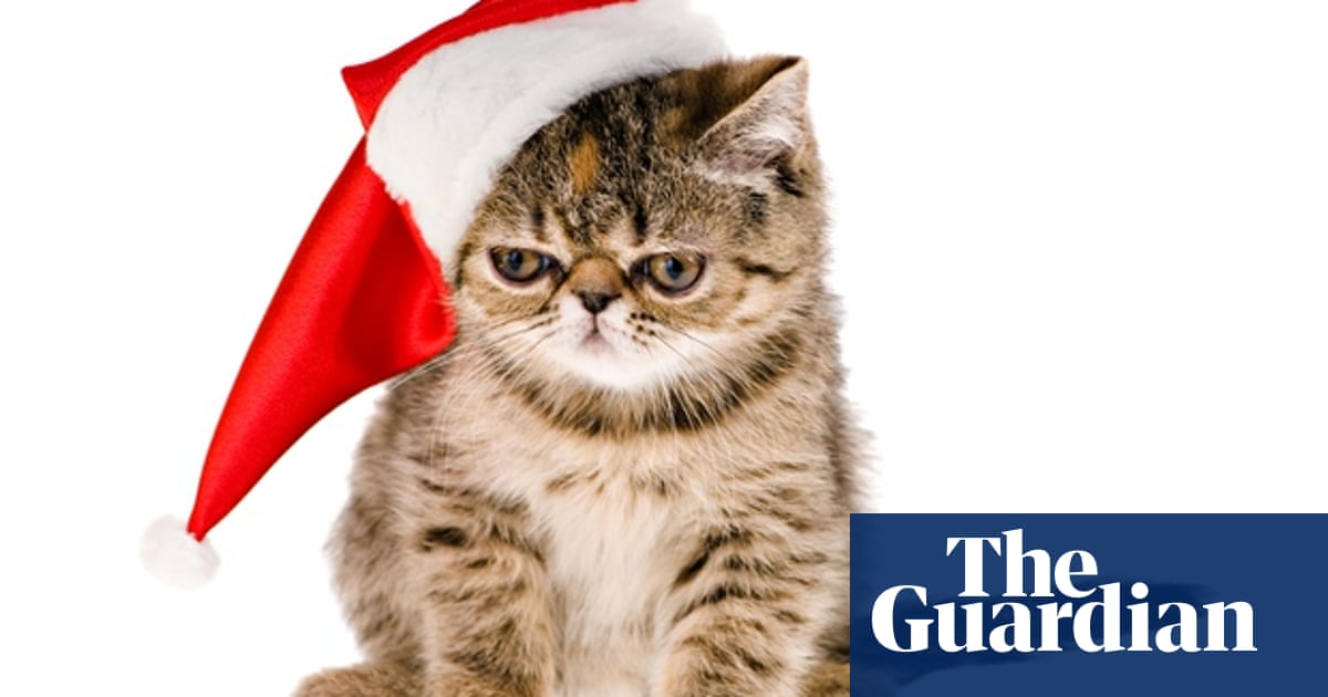 E Cards For A Happy And Green Christmas Online Shopping The Guardian Charity Christmas Cards Online 2021