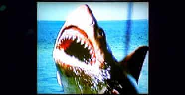 Scene from Jaws