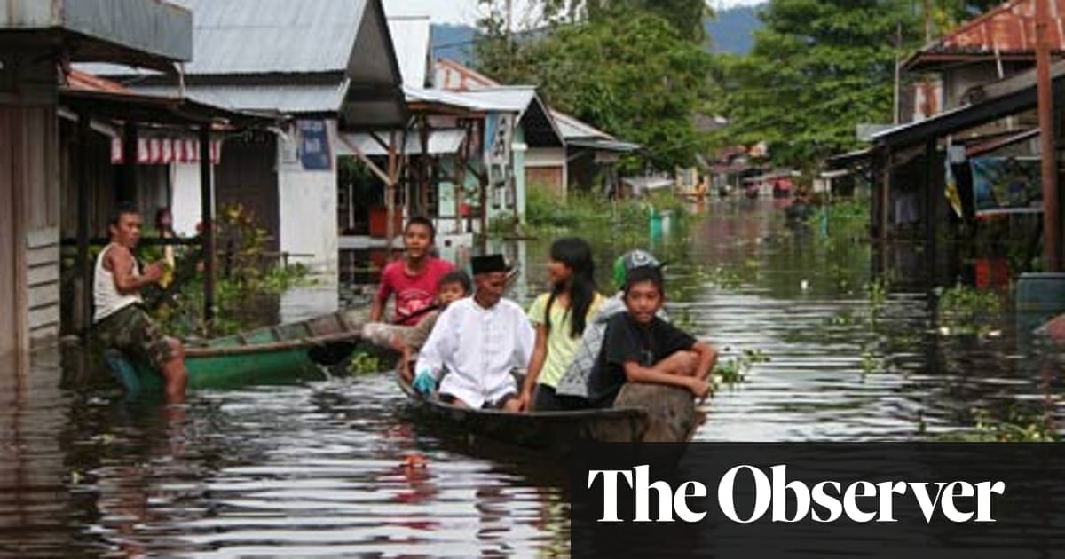 Borneo S Majestic Rainforest Is Being Killed By The Timber Mafia Indonesia The Guardian