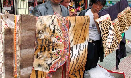 tiger leopard skins