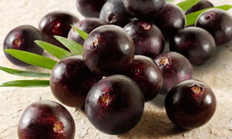 Acai Berries anti oxidant fruit