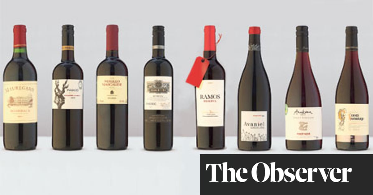 Ord budget Sanselig The 20 best Christmas red wines | Christmas | The Guardian