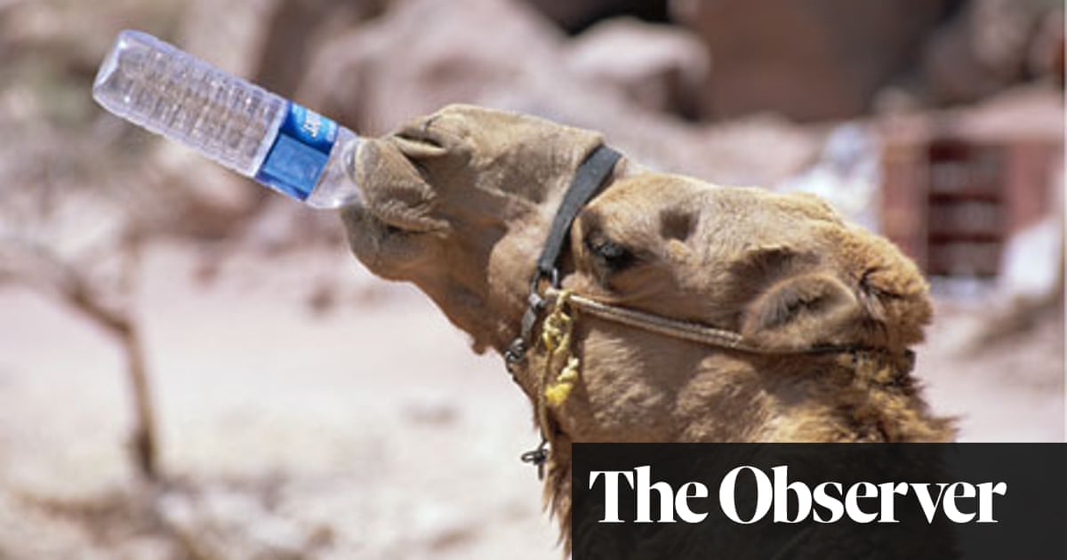 What Does The Arab World Do When Its Water Runs Out Water The Guardian