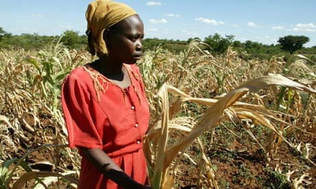 Zimbabwe peasant farmer