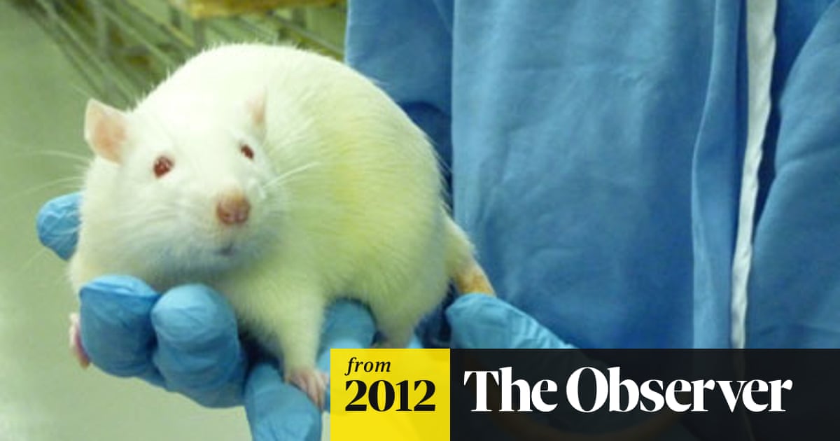 Animal activists' terror tactics drive staff out of laboratories | Animal  experimentation | The Guardian