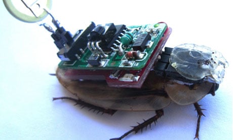 roboroach