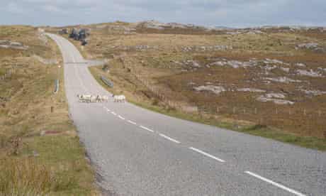 Sheep on road, Isle of Lewis