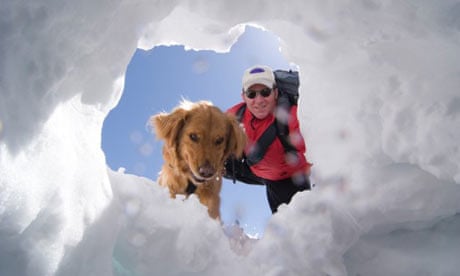 Echo the avalanche rescue dog - sniffing for life in the snow