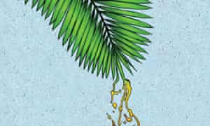 Palm oil illustration