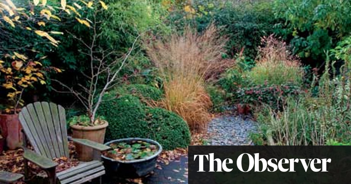 Dan Pearson | Jobs to do in the garden in December | Life and style | The Guardian Dan Pearson | Jobs to do in the garden in December | Life and style | The Guardian on Dan Pearson Garden
 id=14137