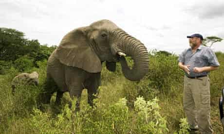 The elephant man | Conservation | The Guardian