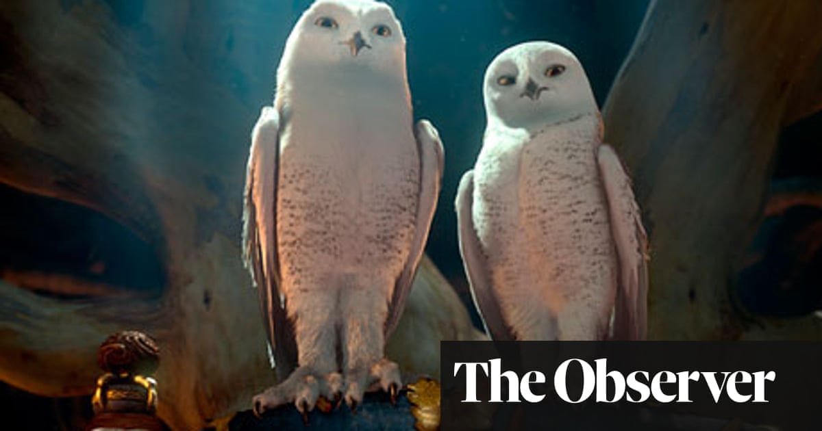 Legend of the Guardians: The Owls of Ga'Hoole; Alpha and Omega 3D – review  | Movies | The Guardian