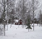 sweden forest farm